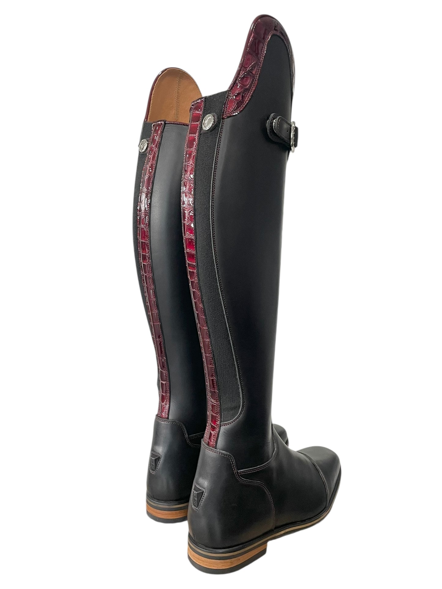 TDR's Dawn A (Celeris Olivia Flex)