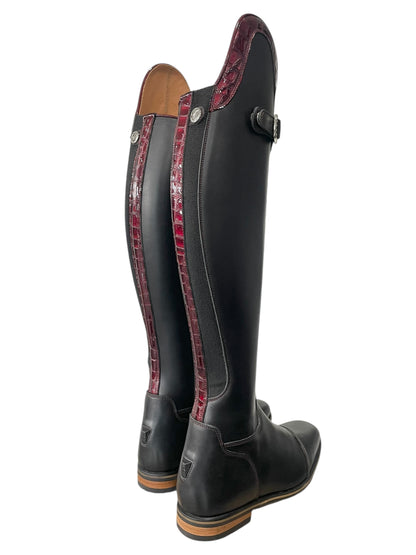 TDR's Dawn A (Celeris Olivia Flex)