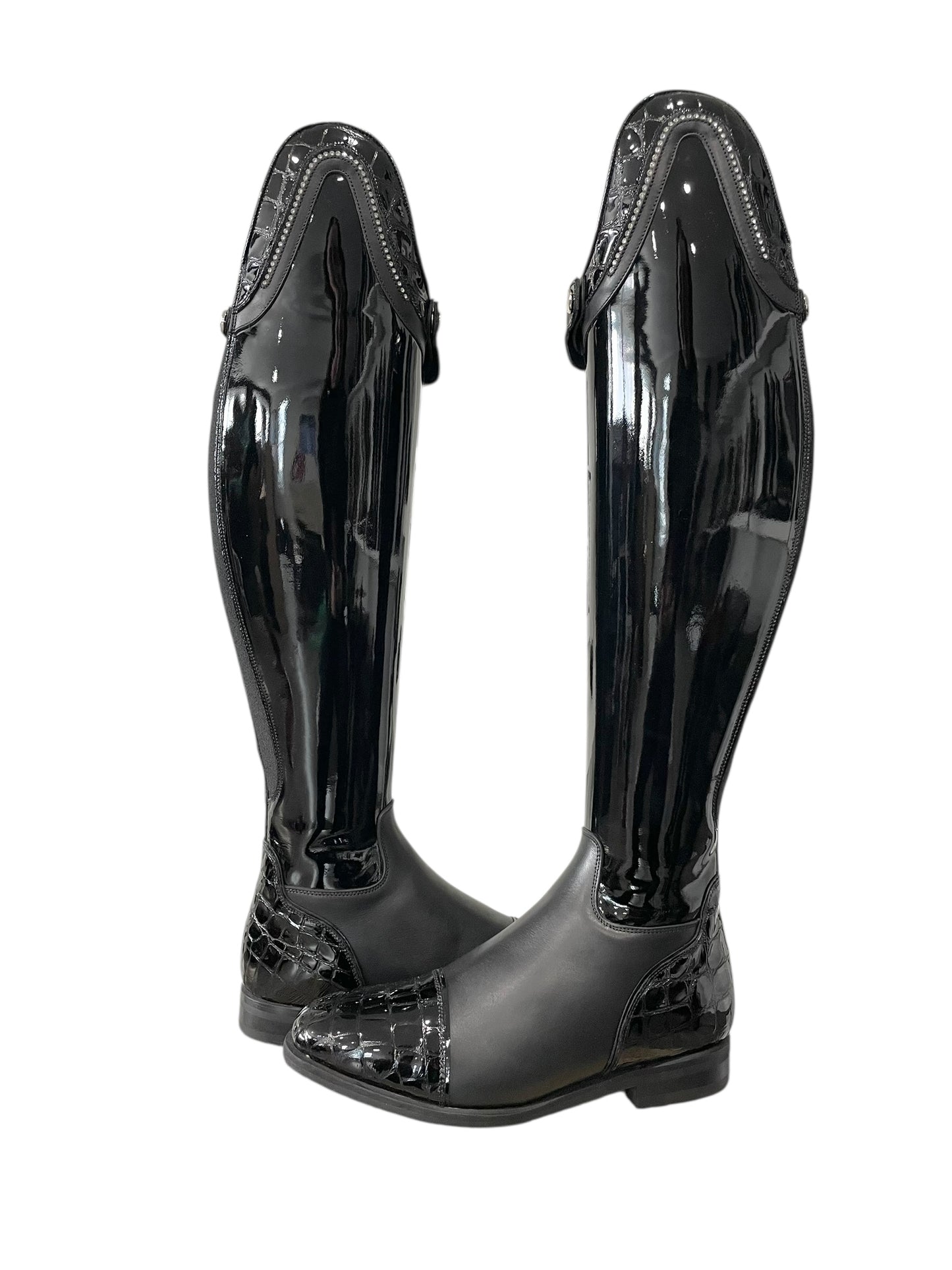 TDR's Jacy F (Celeris Olivia Flex)