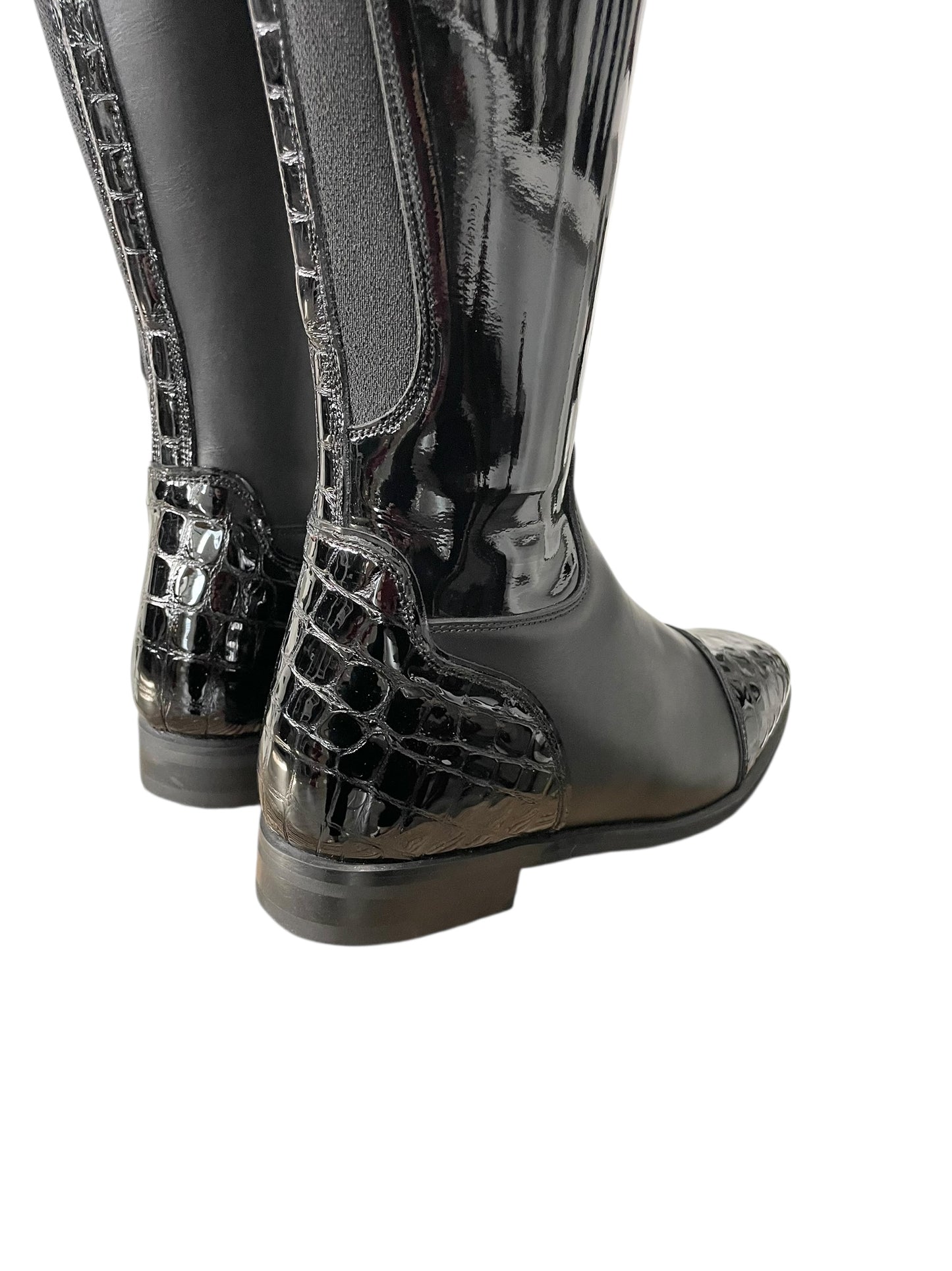 TDR's Jacy F (Celeris Olivia Flex)