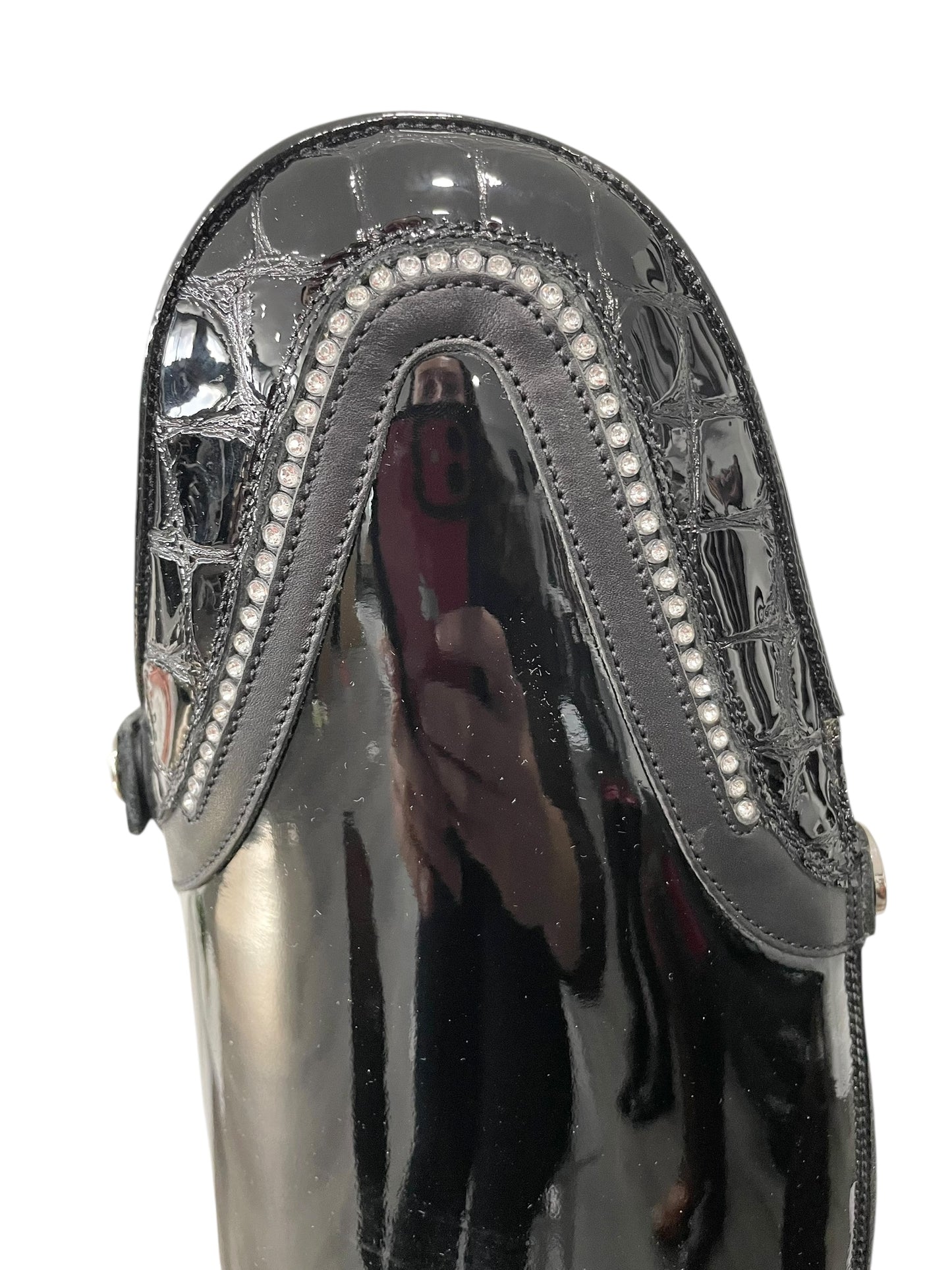 TDR's Jacy F (Celeris Olivia Flex)