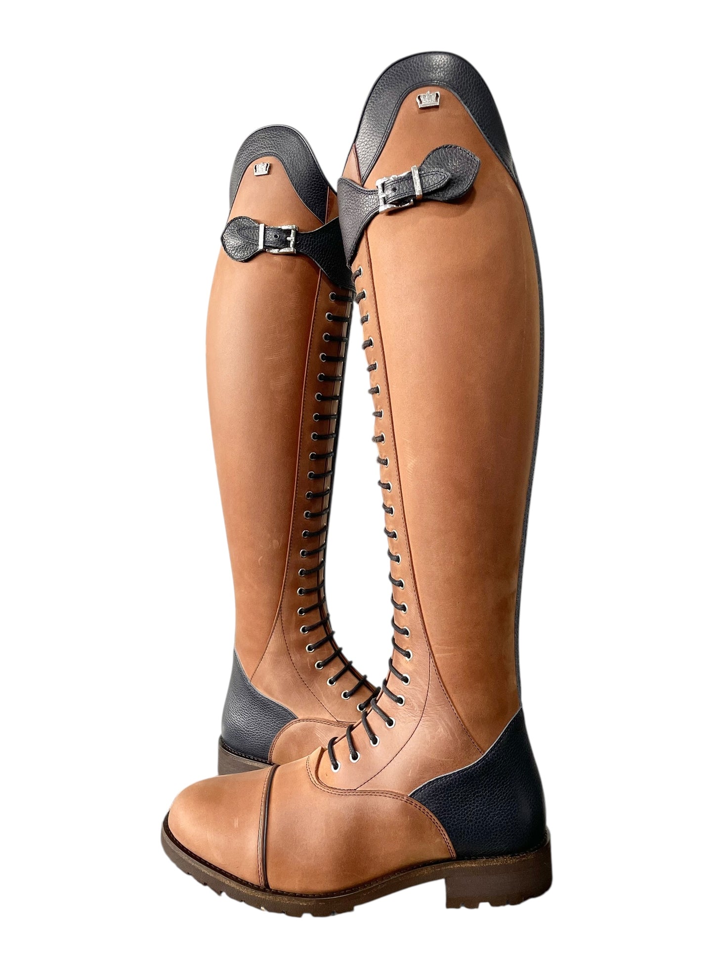 TDR's Erinn C 2.0 (Kingsley Orlando 02 with Amsterdam Sole)