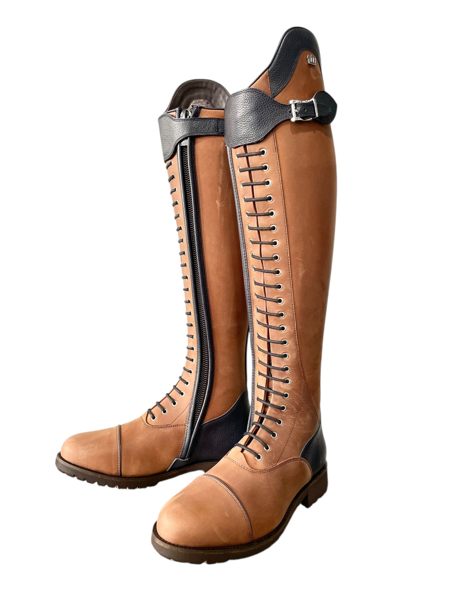 TDR's Erinn C 2.0 (Kingsley Orlando 02 with Amsterdam Sole)