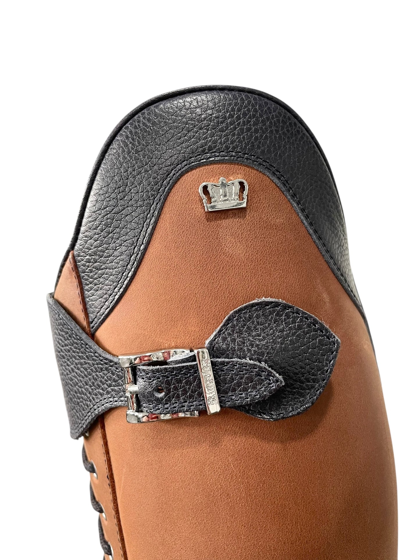 TDR's Erinn C 2.0 (Kingsley Orlando 02 with Amsterdam Sole)