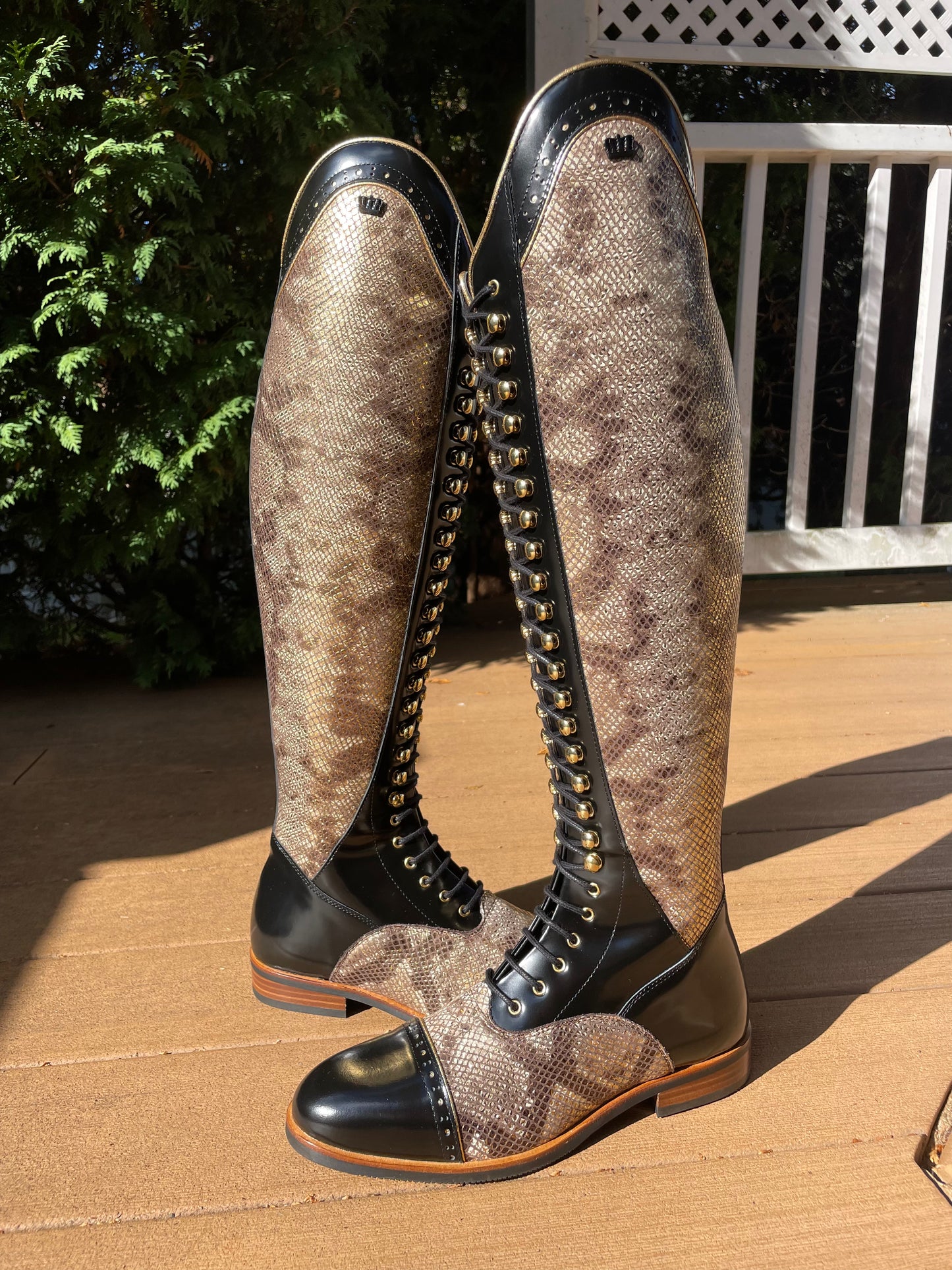 TDR's Jennifer S (Kingsley Orlando 02)