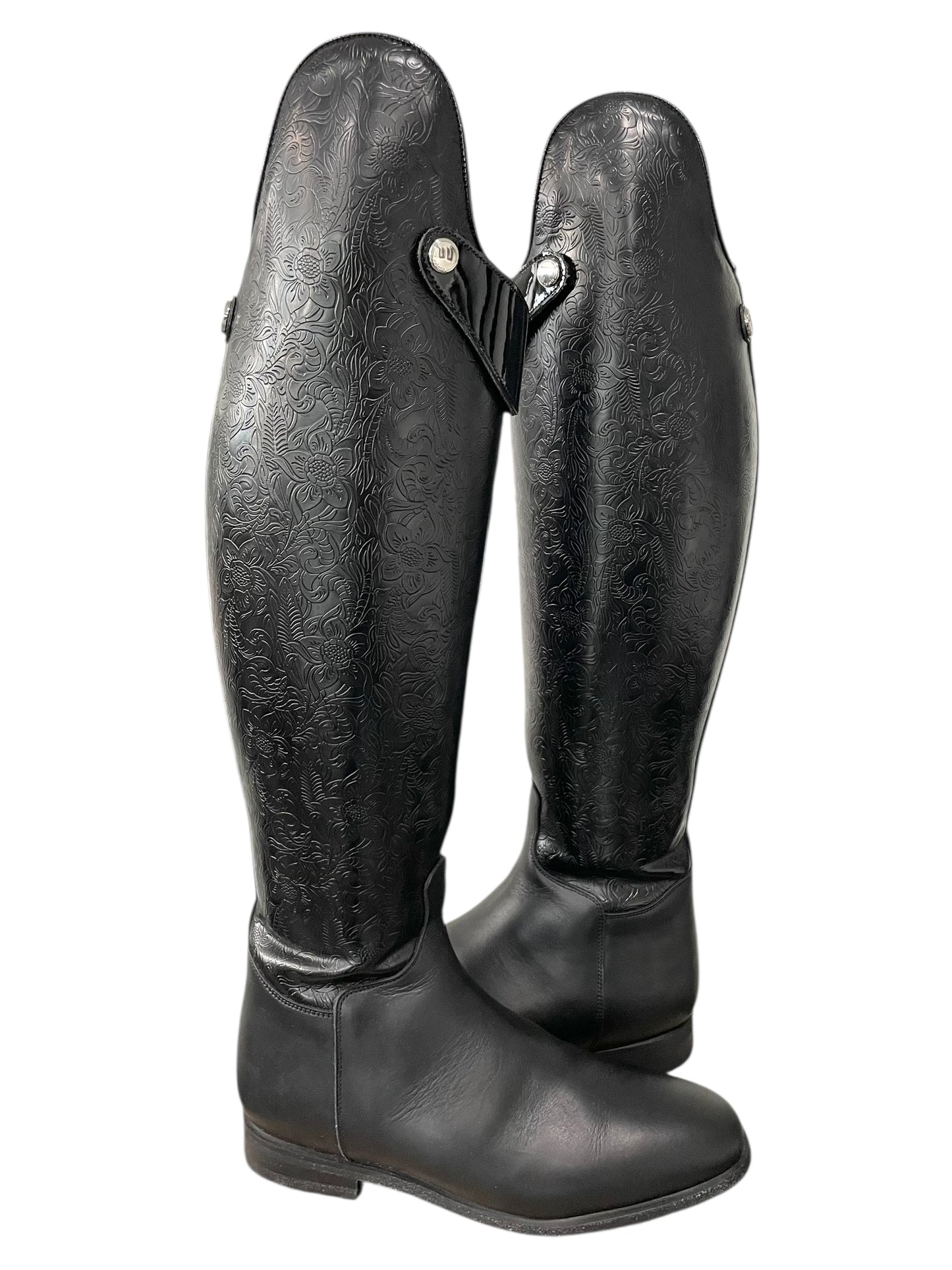 TDR's Marissa 14.0 (Celeris Passage Compete)