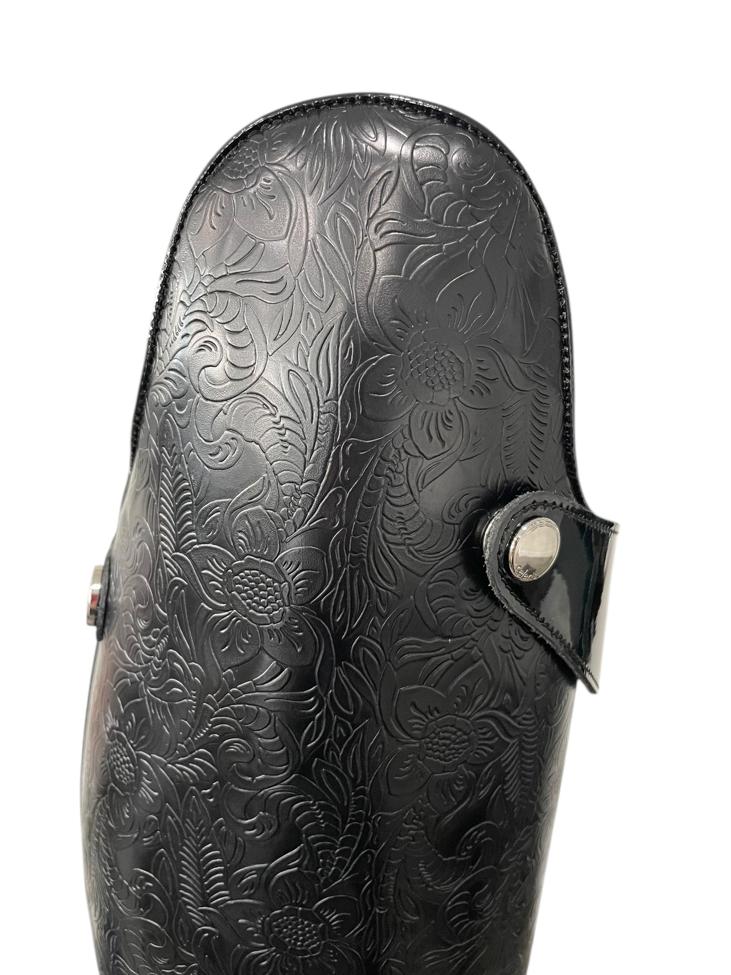 TDR's Marissa 14.0 (Celeris Passage Compete)