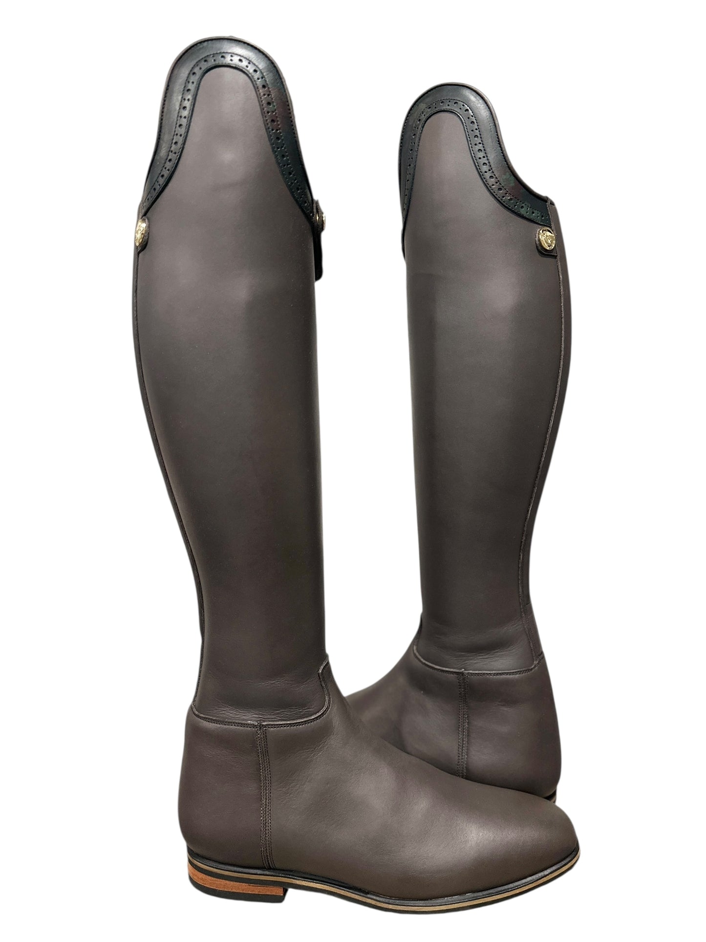 TDR's Shannon S 2.0 (Celeris Passage)