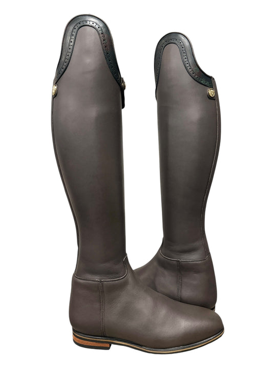 TDR's Shannon S 2.0 (Celeris Passage)