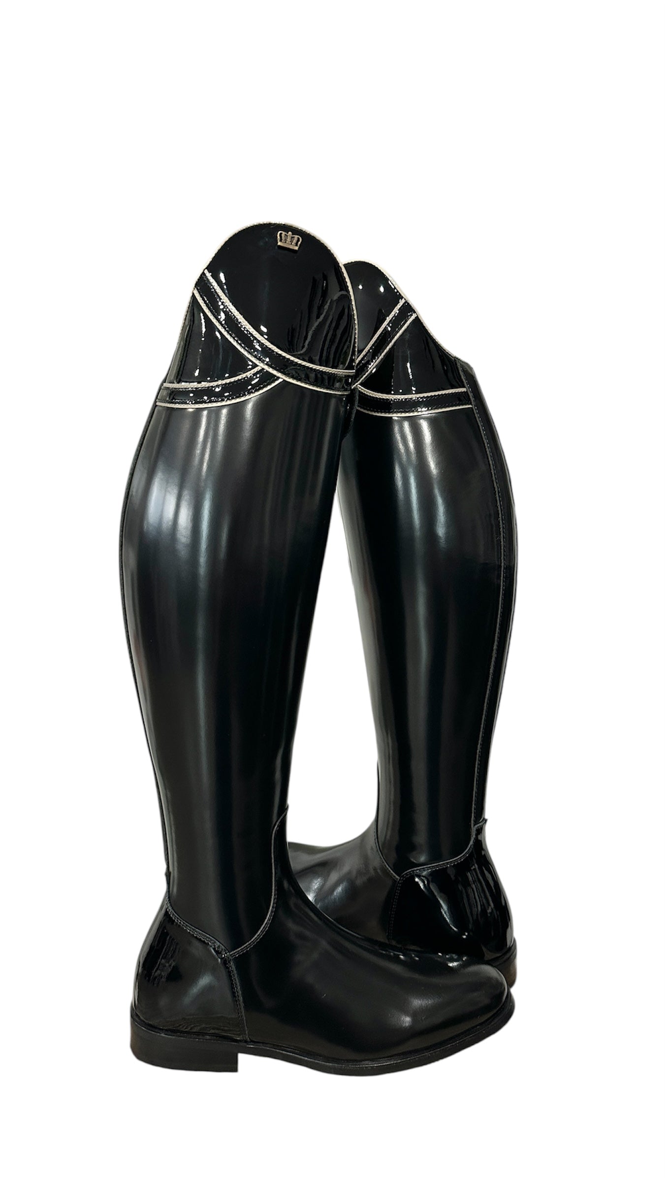 TDR's Michelle W 2.0 (Kingsley Capri)