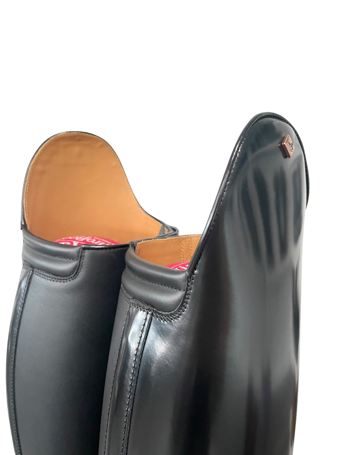 TDR's Becky M 2.0 (DeNiro Raffaello)