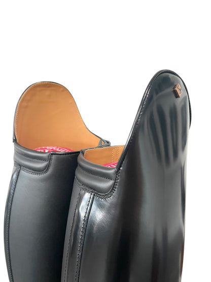TDR's Becky M 2.0 (DeNiro Raffaello)