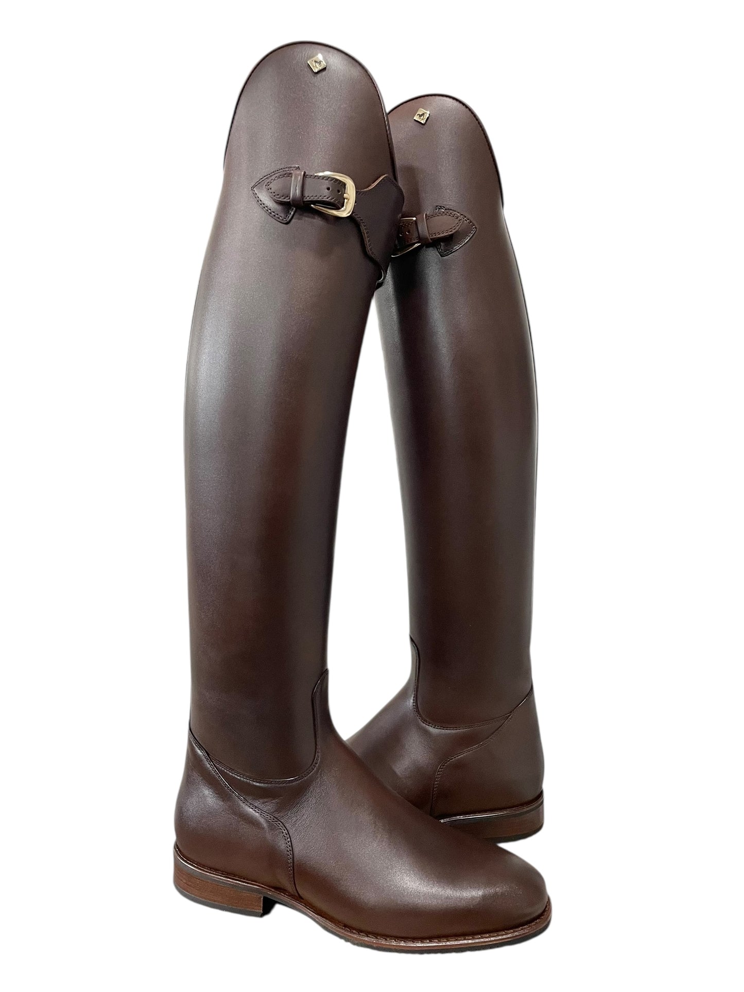 TDR's Felicitas VNC 2.0 (DeNiro Raffaello)