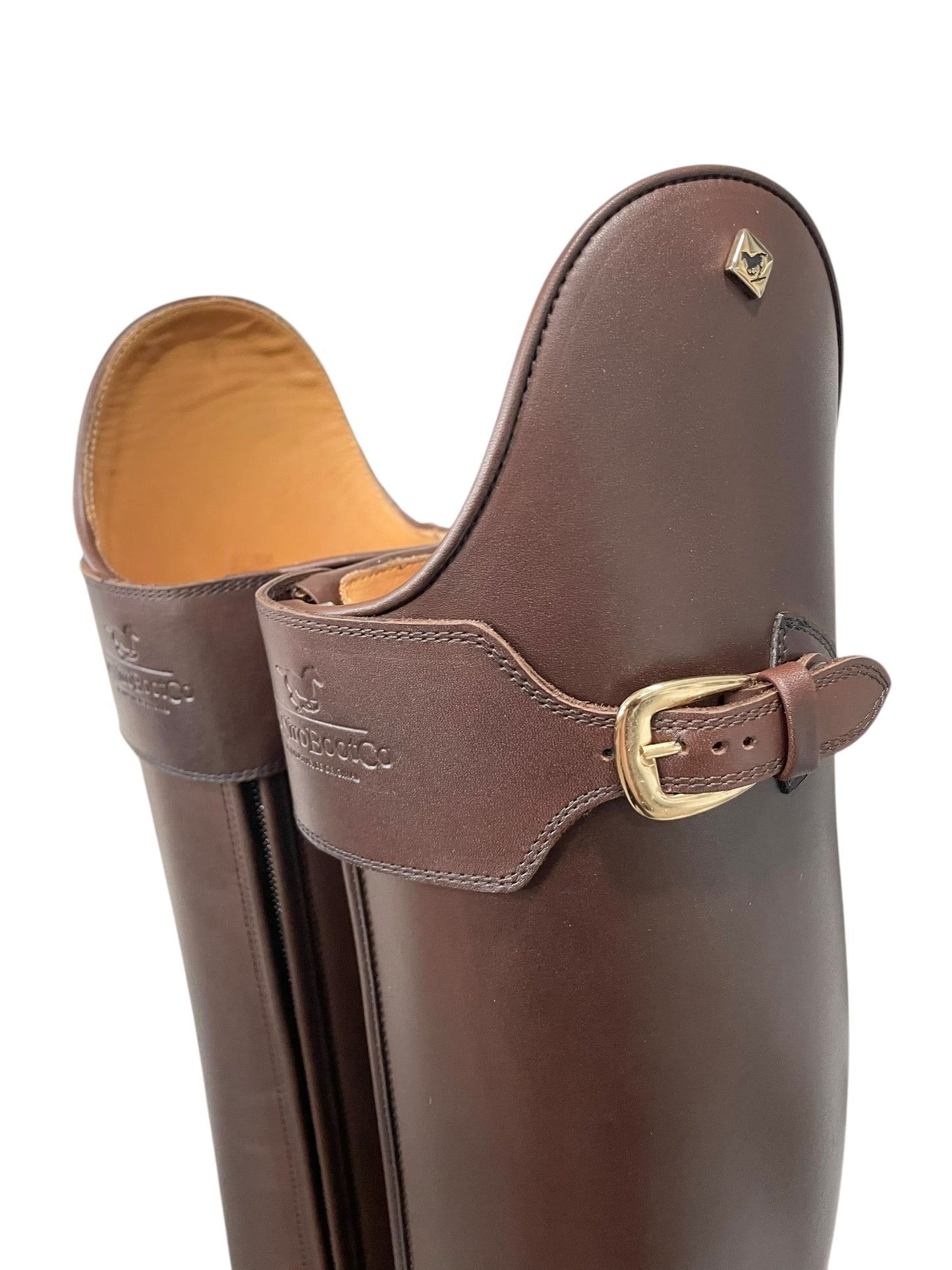 TDR's Felicitas VNC 2.0 (DeNiro Raffaello)