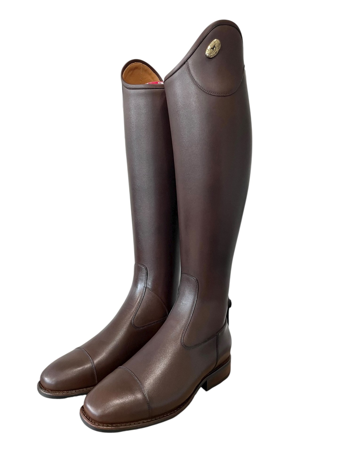 TDR's Meaghan D 7.0 (DeNiro Salento 01)