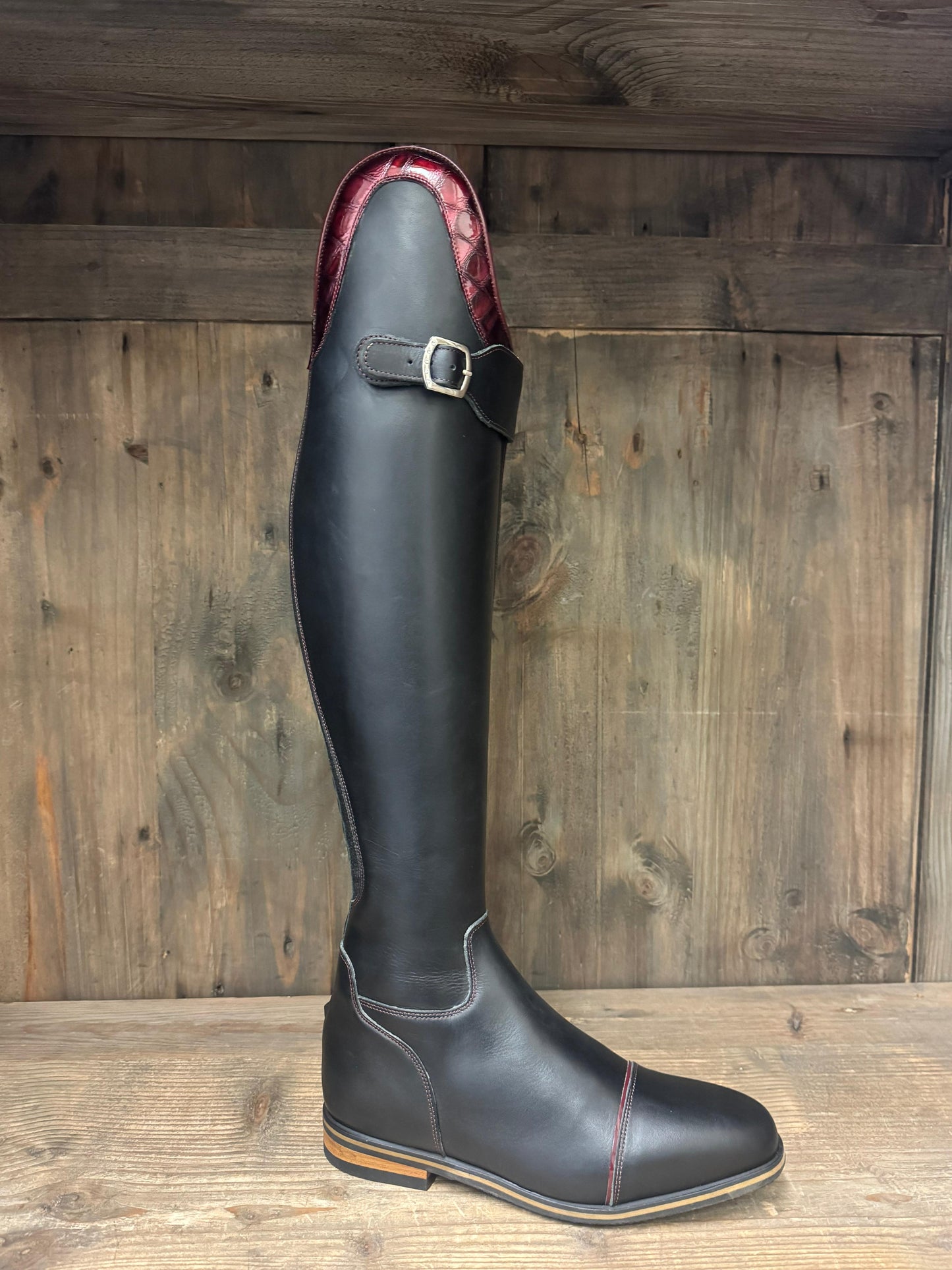 TDR's Dawn A (Celeris Olivia Flex)
