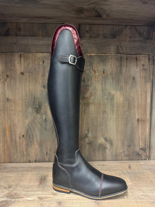 TDR's Dawn A (Celeris Olivia Flex)