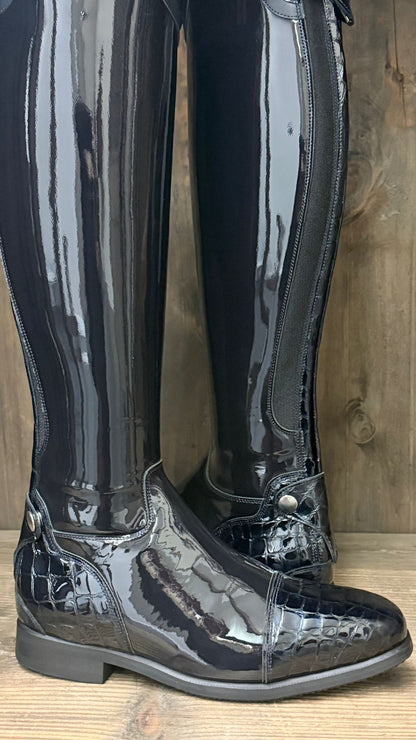 TDR's Molly (Celeris Olivia Flex)