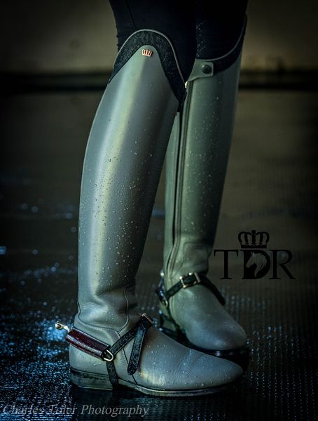 TDR Marissa's Lexington (Aspen Grey)