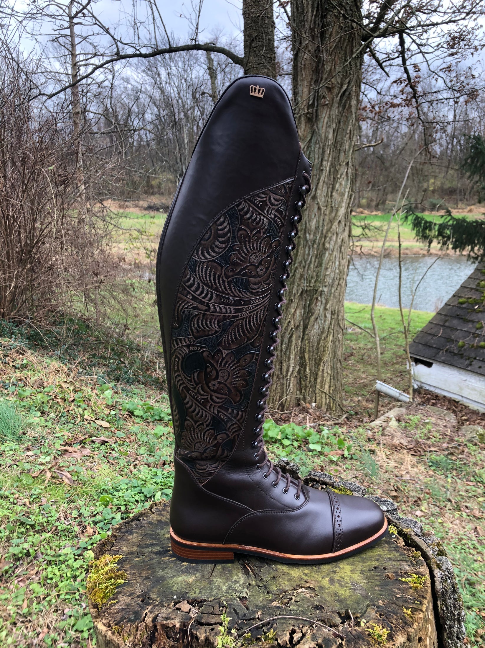 kingsley boots dressage